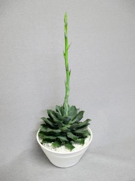 015